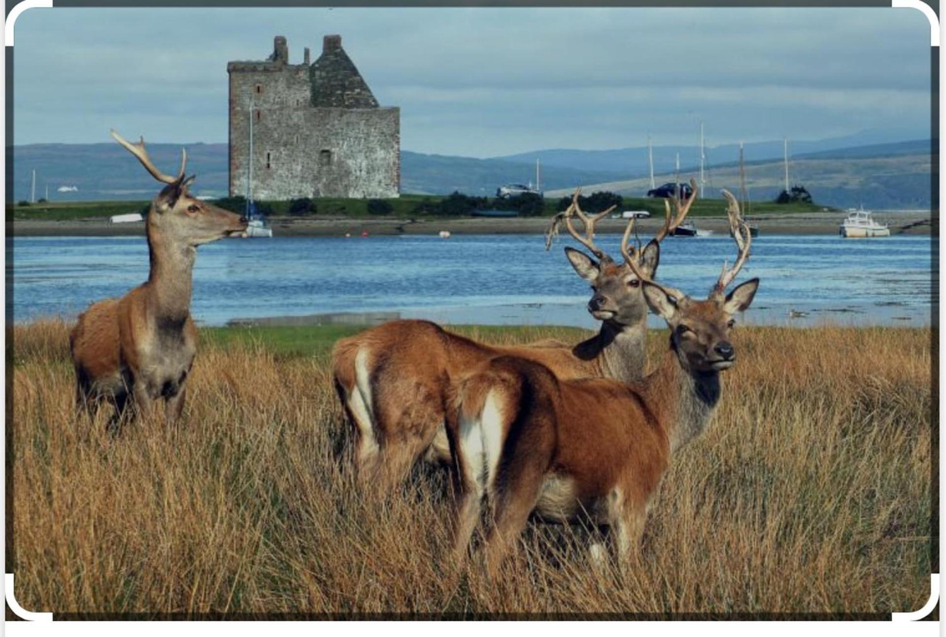 Sanda View, Isle Of Arran Sliddery Экстерьер фото